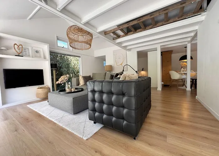 Duinstudio Bergen